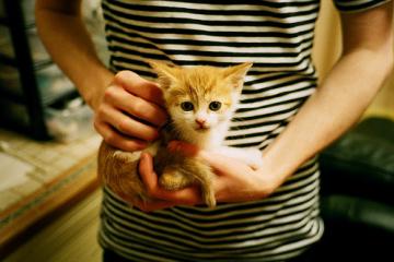 开云体育在线-东方长城战西方利刃，塔图姆如何在跨洋对决中诠释现代篮球的持续杀伤