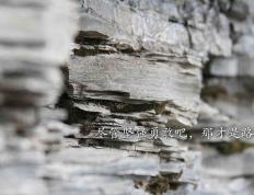 开云下载-基耶萨爆发与喀麦隆带走多特蒙德，足球世界的蝴蝶效应启示录