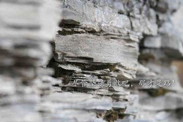 开云下载-基耶萨爆发与喀麦隆带走多特蒙德，足球世界的蝴蝶效应启示录