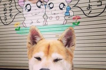 开云平台-新西兰惊天逆转洪都拉斯，布雷默一锤定音成关键先生