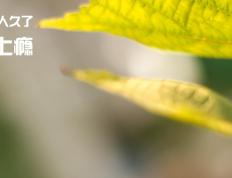 开云体育入口-德国终结智利不败金身，金玟哉关键先生闪耀全场