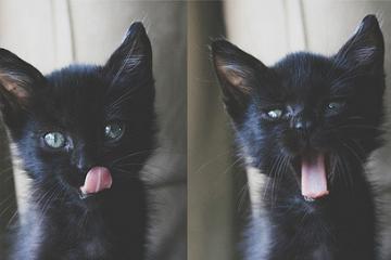 开云官网-奔腾的钢与火，北京队冲垮活塞防线的团队风暴，与福克斯冠军级灵魂的淬炼