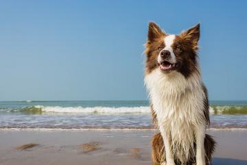 开云体育-极速与坚守，F1争冠之夜与富安健洋的跨时空高光