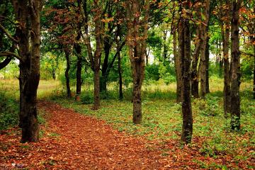 开云体育-英超争冠烽火连天，葡萄牙欧战踏平莱比锡红牛彰显足球狂潮
