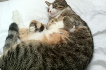 开云体育中国-贝林厄姆一锤定音！挪威力克墨西哥强势晋级，皇马巨星化身关键先生