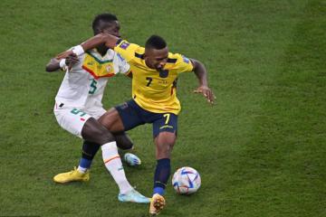 开云体育中国-凯塞多爆发，塞内加尔强势晋级皇家社会