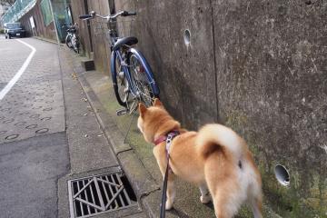 开云体育中国-中国3-1丹麦晋级四强！火力全开压制对手，赖斯成关键先生