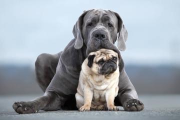 开云体育-东决关键战之夜，富安健洋，从亚洲孤勇者到洲际防线主宰