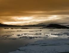 开云体育-厄德高跨越次元的统治，当足球精灵在NBA总决赛之夜起舞