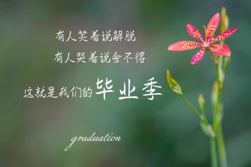 开云体育官网-意甲焦点战启示录，从雷恩火力压制巴黎，看绿茵场上的以下克上哲学