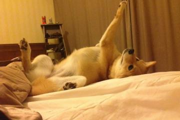 开云体育在线-奥运资格关键战爆冷！阿尔及利亚3-0横扫澳大利亚，搅动巴黎门票争夺战