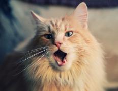 开云体育入口-湖人收割上海队 爱德华兹末节15分化身关键先生