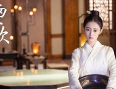 开云体育APP下载-机械心脏，特奥在季后赛高压熔炉中的冰冷狙击