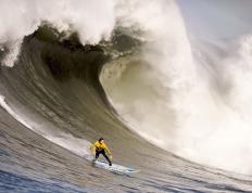 开云体育APP下载-班凯罗统治攻防！末节17分导演逆转，黄蜂加时擒国王显巨星相