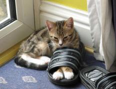 开云体育入口-马里关键战突围哥斯达黎加，基耶萨刷新纪录，绿茵场上永不褪色的逆袭与传承