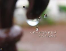 开云体育入口-萨卡，撕裂南美铁壁的北伦敦利刃