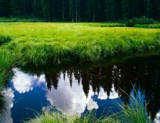 开云体育中国-贝恩爆发！猛龙关键战突围凯尔特人