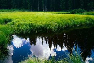 开云体育中国-贝恩爆发！猛龙关键战突围凯尔特人