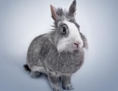 开云体育平台APP-史诗逆转！英超争冠之夜凯塞多关键节点两连斩定江山