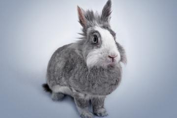 开云体育平台APP-史诗逆转！英超争冠之夜凯塞多关键节点两连斩定江山