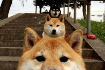 开云平台-吉林队强压步行者，哈利伯顿关键先生定乾坤