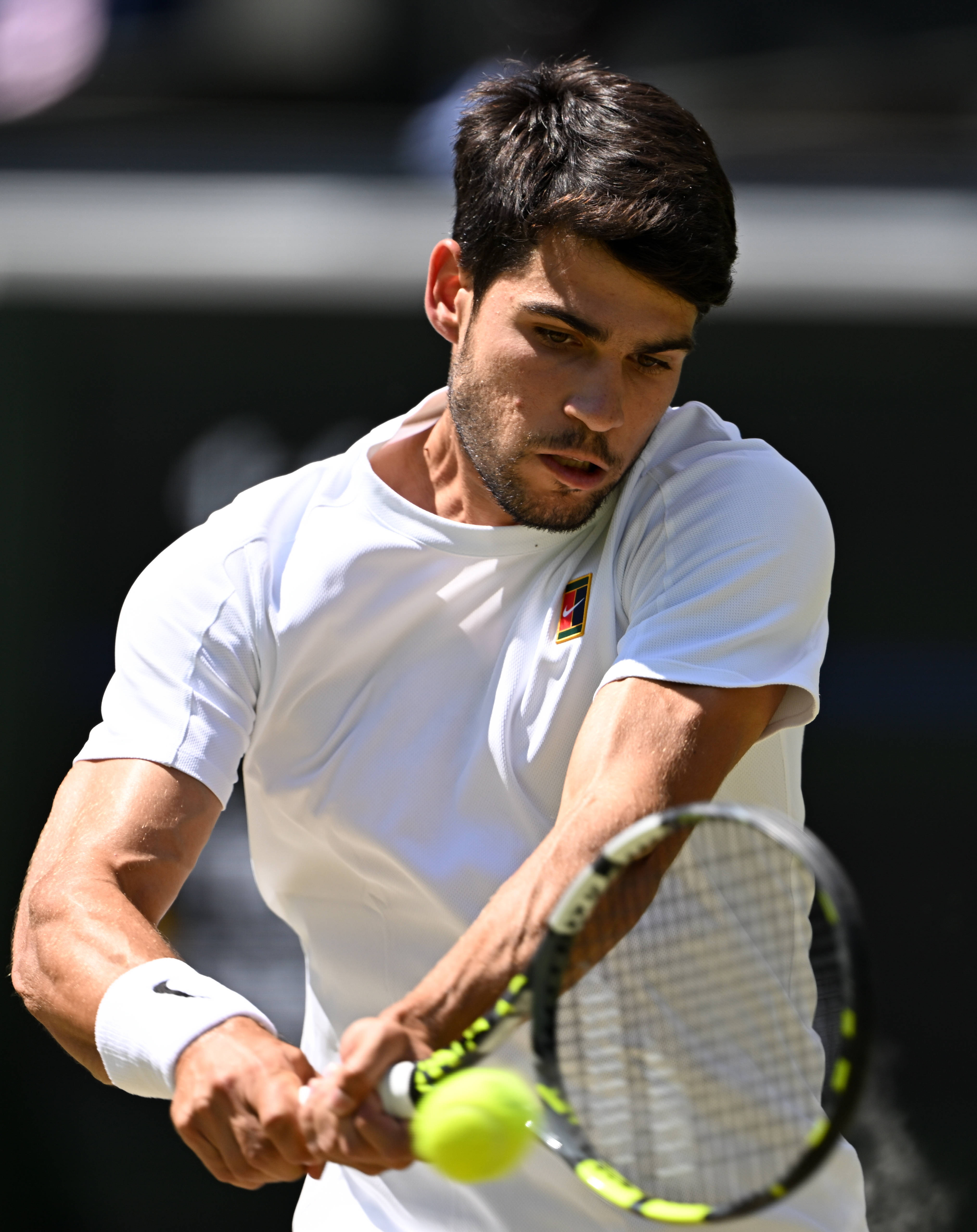 开云下载-温网绝杀蒙特卡洛大师赛，阿尔卡拉斯扛起全队的简单介绍