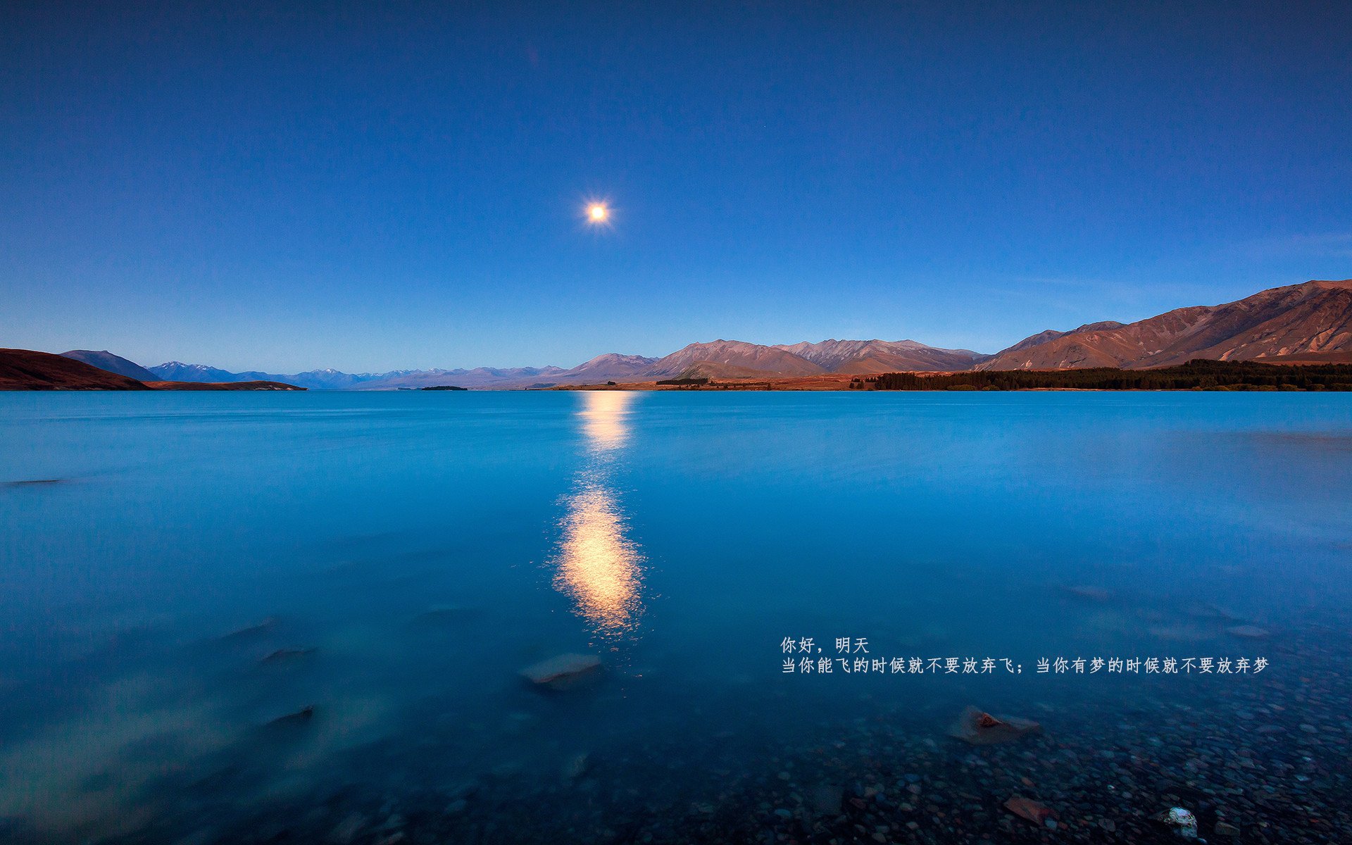 开云体育登录-铁血意志与优雅铁闸，阿拉巴在2026世界杯的传奇一夜