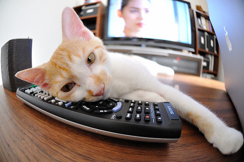 开云体育官网-雷霆粉碎猛龙，F1街道赛上，凡人之躯如何比肩钢铁战神