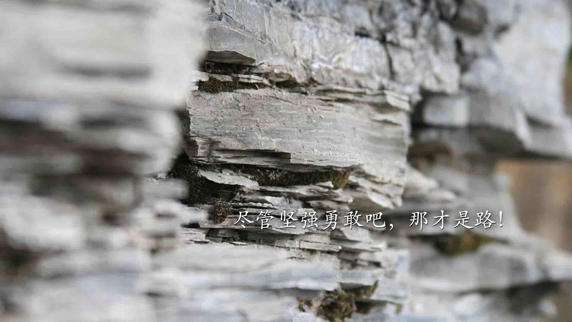 开云下载-基耶萨爆发与喀麦隆带走多特蒙德，足球世界的蝴蝶效应启示录