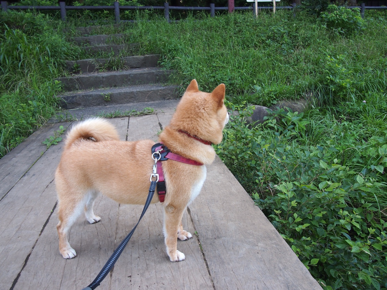 开云体育入口-吉林队爆冷掘金,塔图姆实力自证,篮球世界中的逆袭与荣耀交响曲