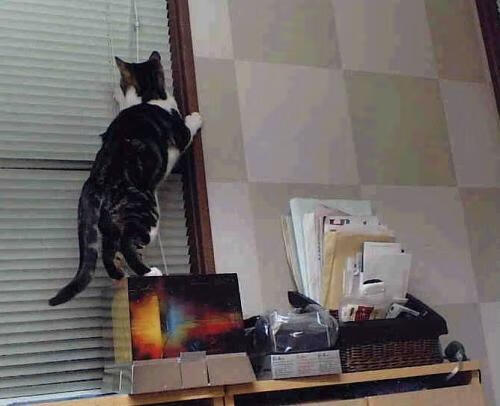 开云下载-锡安统治级存在感点燃球馆，篮网强硬终结热火连胜势头