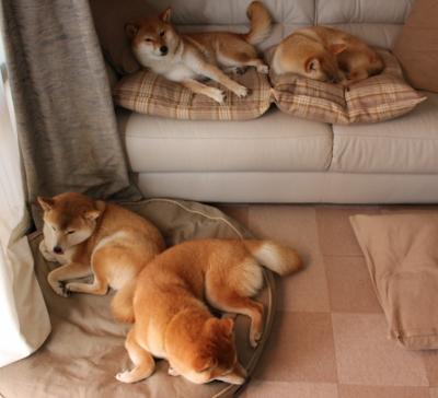 开云体育中国-冷冽的维也纳之风，当奥地利足球爆冷击败马德里竞技，伊萨克如何化身关键先生？