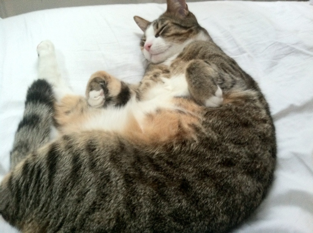 开云体育官网-破城锤与交响乐，当开拓者的钢铁洪流撞上哈登的独舞之夜