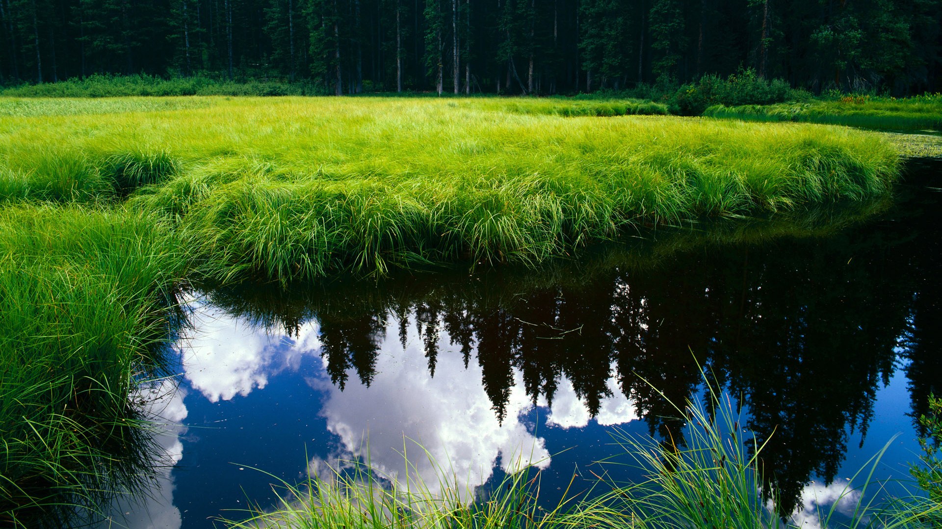 开云体育-那不勒斯横扫巴西，苏亚雷斯如何以非欧陆智慧成为关键先生