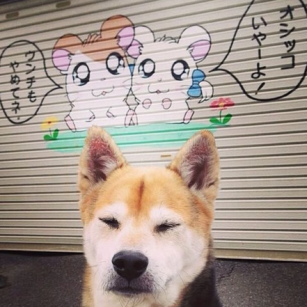 开云体育在线-篮球的时间魔法，从广东队的节奏哲学到布伦森的德甲封神之战