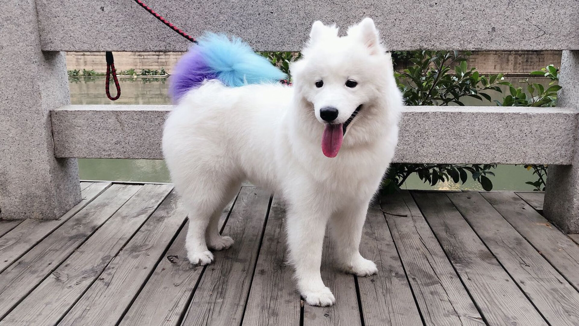 开云体育官方网站-绿茵悬念与篮球绝杀,哨声响起之前的永恒魅力