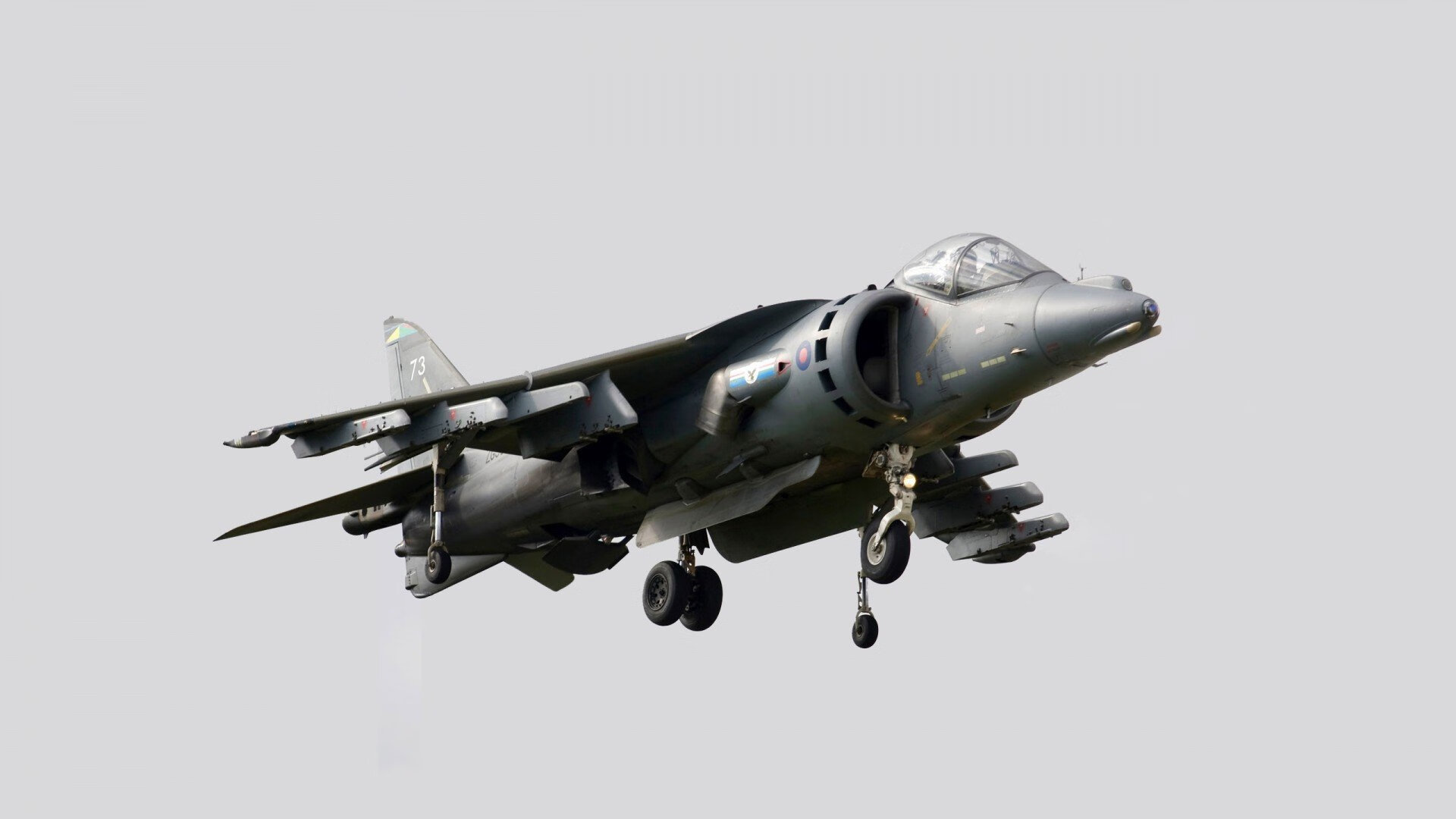 开云体育登录-天赋对体系,文班亚马封神夜,浙江猛虎撕碎独行侠