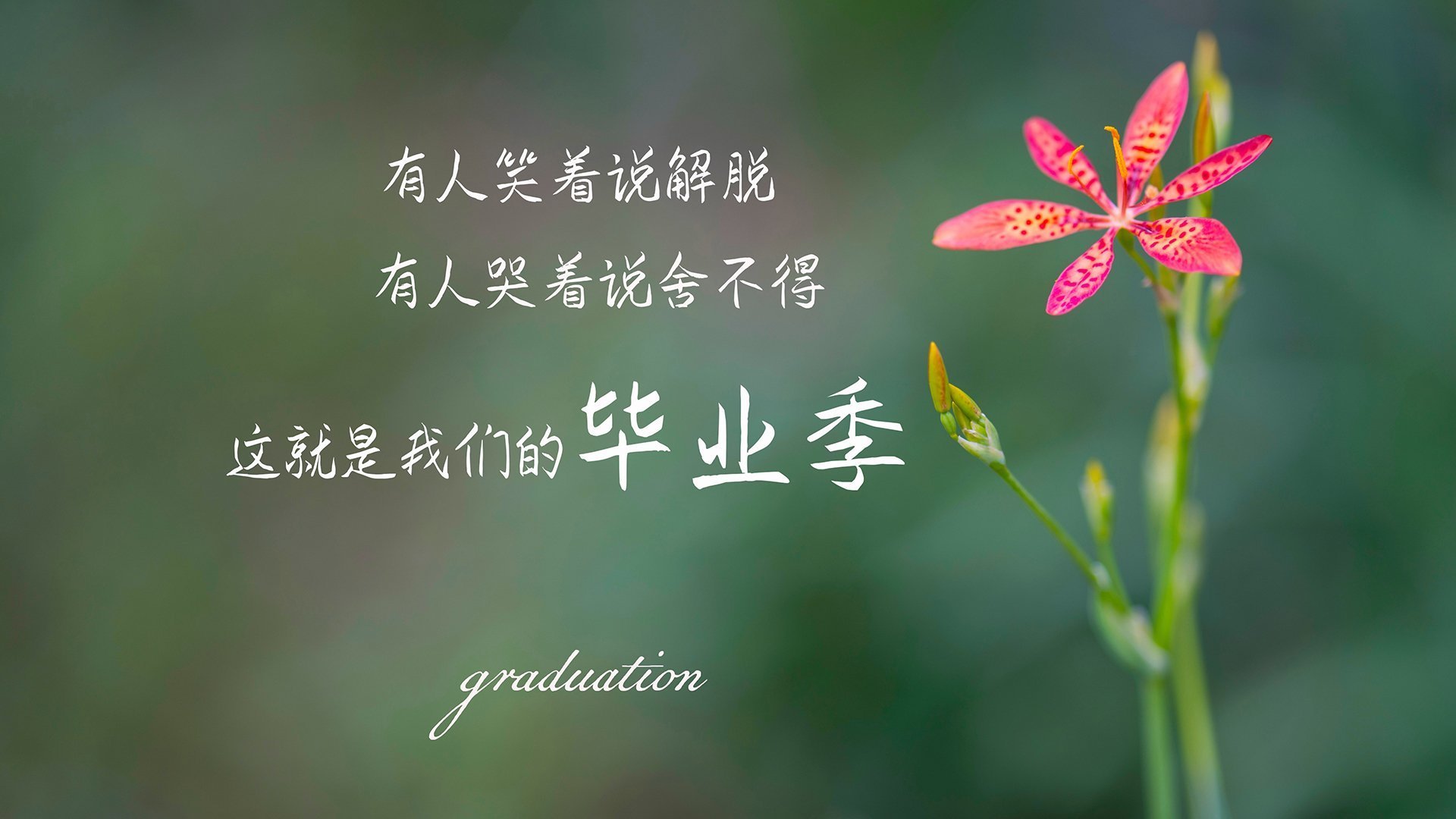 开云体育官网-意甲焦点战启示录，从雷恩火力压制巴黎，看绿茵场上的以下克上哲学