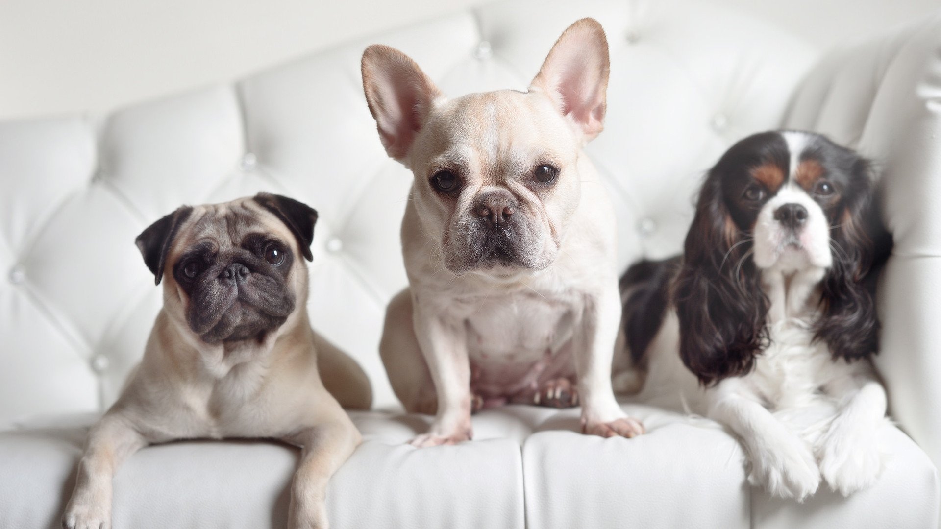 开云体育官网-意甲焦点战启示录，从雷恩火力压制巴黎，看绿茵场上的以下克上哲学