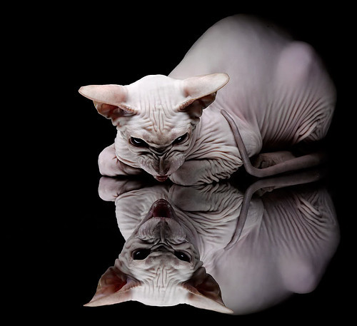 开云体育平台APP-得分新高之外，解析贝恩全面爆发的背后逻辑