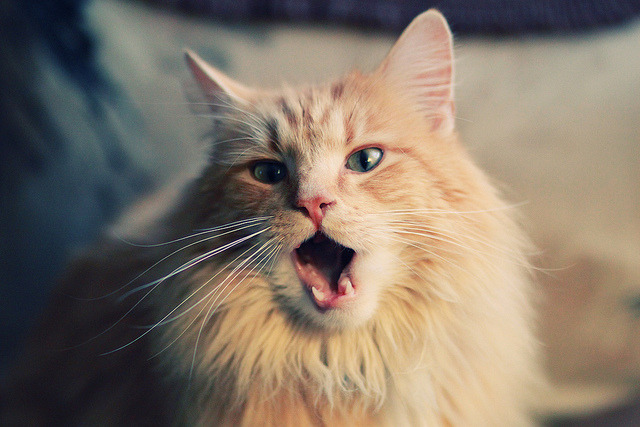 开云体育入口-湖人收割上海队 爱德华兹末节15分化身关键先生